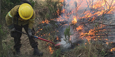 IF-brig_san-antonio200