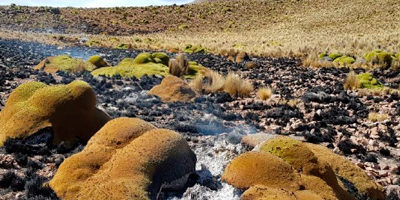 Incendio-llaretas-AltoJurasi200