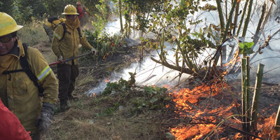 brig-IF-encombate200