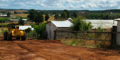 Cortafuegos-Florida-200