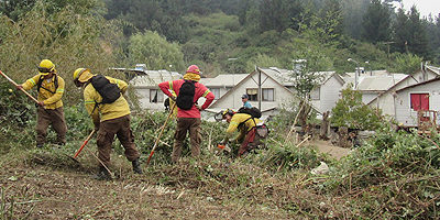 Operativo-limpieza-Palomares200