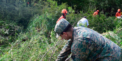 cortafuego-litoral_aysen200