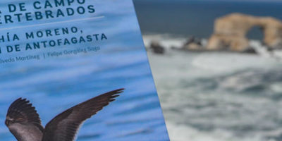 guia-bahia-moreno200