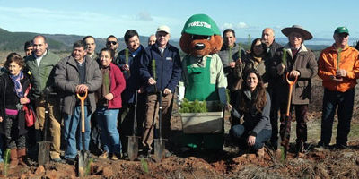 Reforestacion_Maule1