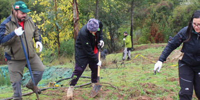 Restauracion-en-Florida200