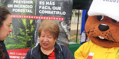 prevIF-CerroPlaceres200