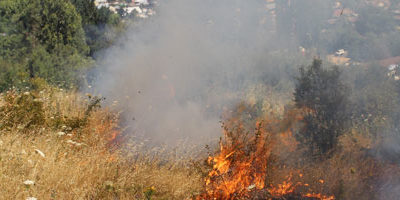 riesgo-IF_biobio-nuble200