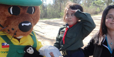 scouts-y-forestin200