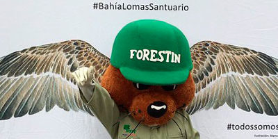 forestin-avesplayeras