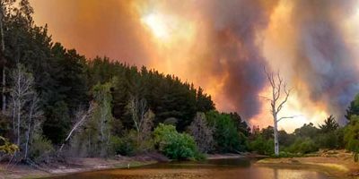 Incendio-penuelas200