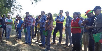 aprobosque-IF_mafil200