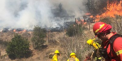 IF-plantaciones_valpo200