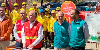 MinWalker_Parquemet200