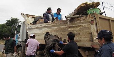 prevIF-Mulchen_cachureos200