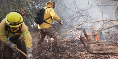 Dia-Brigadistas-valpo200