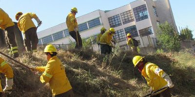 Operativo-BRIFAR-Tome200