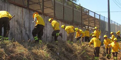 Operativo-BRIFAR-tome200