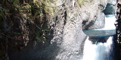 PN-Radal-Siete-Tazas200