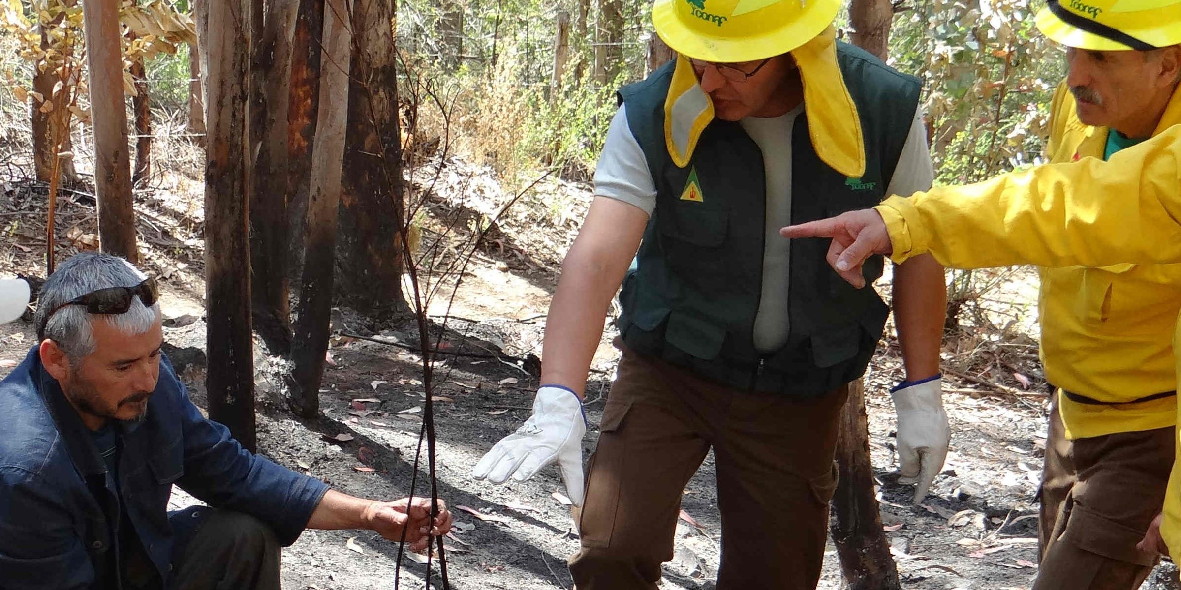 Foto peritaje de incendios