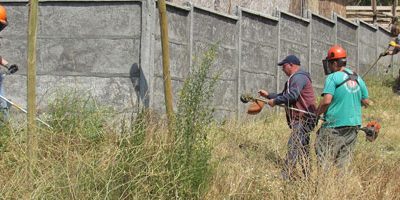 Operativo-IF_Punta-de-Parra-200