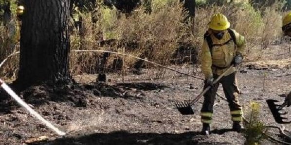 Brigada en Coronel 1