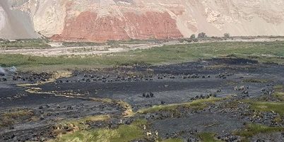 IF-valle_camarones200