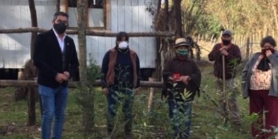 plantacion-CozCoz_diadelmedioambiente200