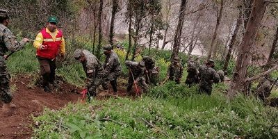 capacita-tejasverdes200