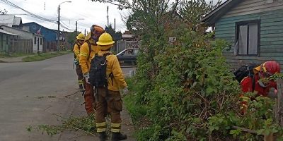 limpieza-casa_loslagos200