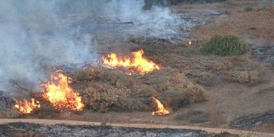 Quemas-forestales-biobio200