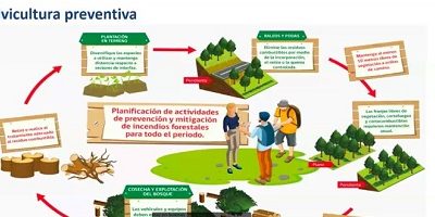 webinario-prevIF-MINVU200