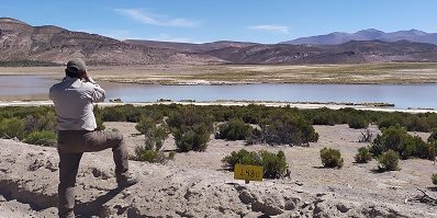 fiscaliza-tarapaca200