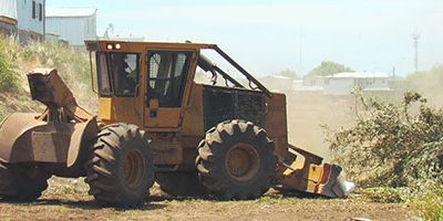 Cortafuegos-Biobio-web