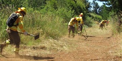 Cortafuegos-Museo-Canete200