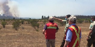 IF-quilpue-terreno200