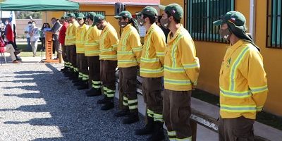 brigadaIF-coltauco200