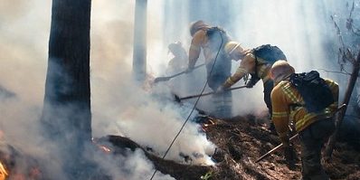 brigadistas_cerro200