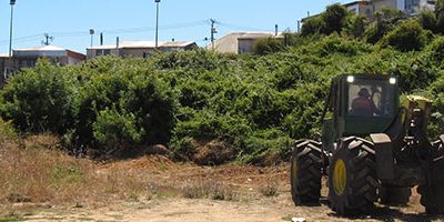 cortafuegos-Lota-web