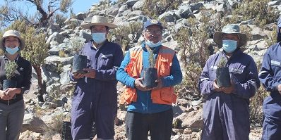 forest-quenoa_putre200