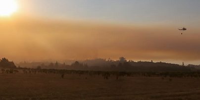 IFs-lagopenuelas2021-200