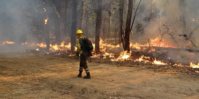 IFs-lagopenuelas_control200