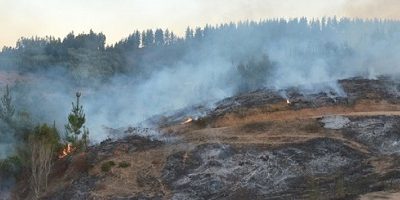 Quemas-forestales200