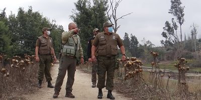 Vigilancia-IF-lagopenuelas200