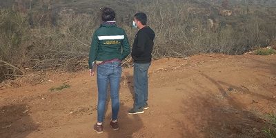 SILVICULTURA-QUILPUE200