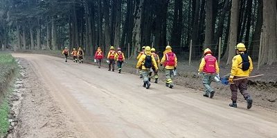 Brigadistas-fuego_tecnico200