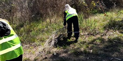 Parque-Quebrada-Verde200
