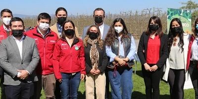 ministra-curico_IF200