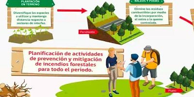 prevIF-taller-esquema200