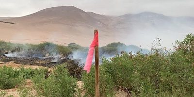 quema-sin-aviso_lluta200