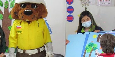 Forestacuentos-Arauco-200